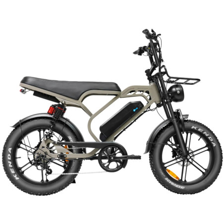V20 Limited - Bruin