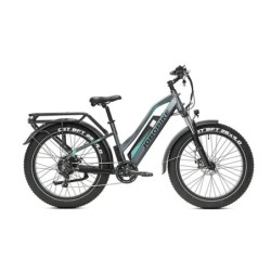 JOBOBIKE Robin ST - Grijs-Groen