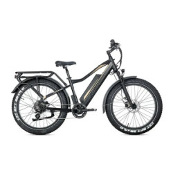 JOBOBIKE Robin Pro - Zwart-goud