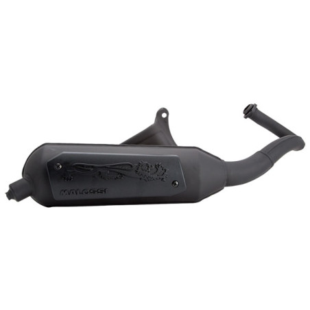 exhaust Malossi standard model lc wild lion sco piaggio 2t 3216580