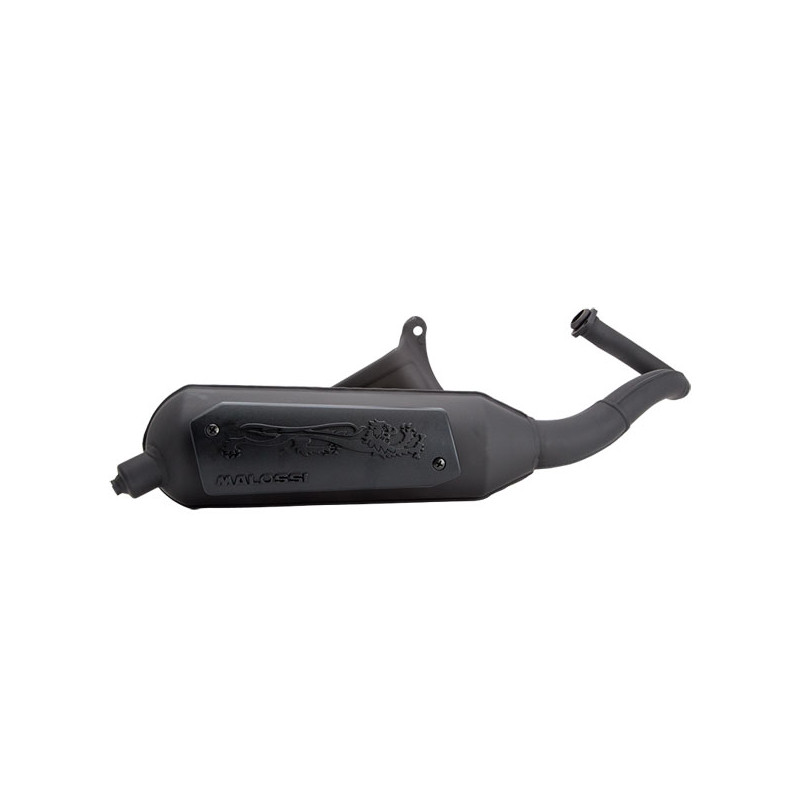 exhaust Malossi standard model ac wild lion fly 2t, zip from2009 3216590