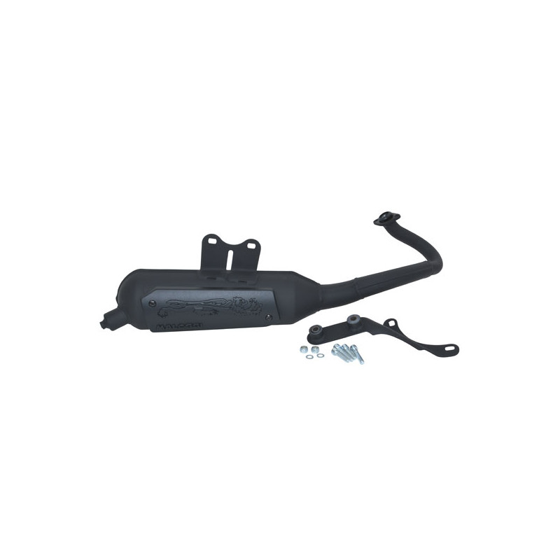 uitlaat malossi standaard model Wild Lion lx 2t, primavera, sprint, vespa S 2t 3216579