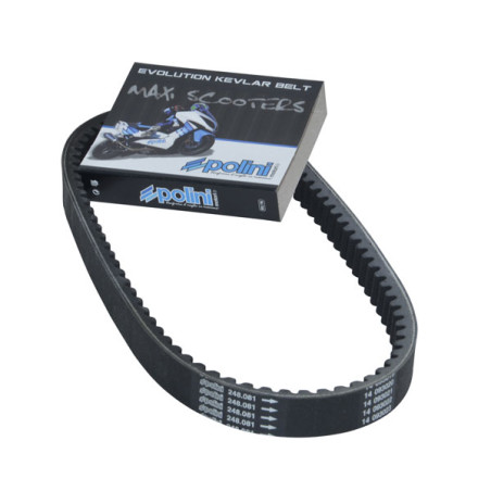 V-belt Polini kevlar sr200gt ie 4t gts 125cc, lx 125cc, primavera 125 4t, sprint 125 4t 248.081