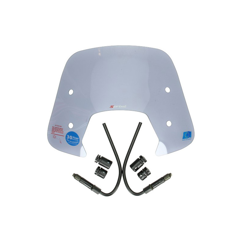 windshield Regia complete model original (made in EU) smoke sprint