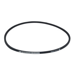 V-belt 1037mm bravo, ciao, citta, si