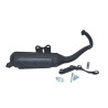 uitlaat malossi standaard model Wild Lion sr piaggio blok 3216582