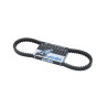 V-belt Polini 750x16.8 minarelli hor+vert 248.003