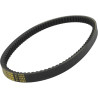 V-belt Malossi (22.2X11X888 MM) burgman 200cc, burgman 250cc 619956