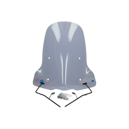 windshield Regia with mounting set (made in EU) smoke kisbee 4t