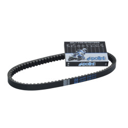 V-belt Polini 768x17.5 buxy, speedake, speedfight, viva 248.014