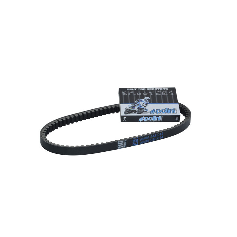 V-belt Polini 768x17.5 buxy, speedake, speedfight, viva 248.014