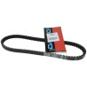 V-belt Dayco/pirelli 828x16.3 12inch hunter nt, paddock, Predator 7192