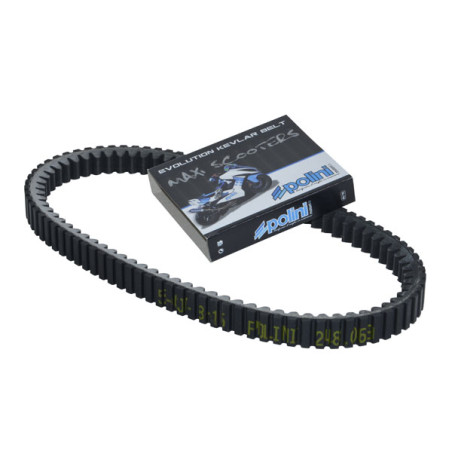 V-belt Polini kevlar 835x20.7 gts 300, gts 250cc, mp3-250cc, mp3-300cc 248.069
