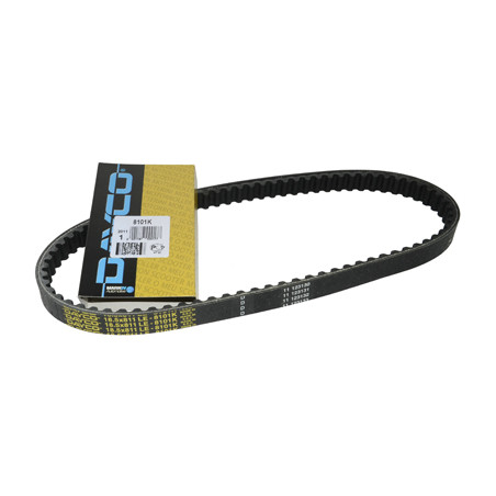v-snaar dayco/pirelli kevlar 811x18.5 12inch ice, runner, stalker 8101k