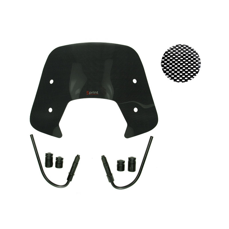 windshield Regia with mounting set low (made in EU) carbon sprint