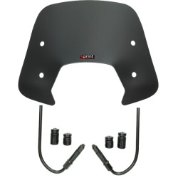 windshield Regia with mounting set low (made in EU) black matt sprint