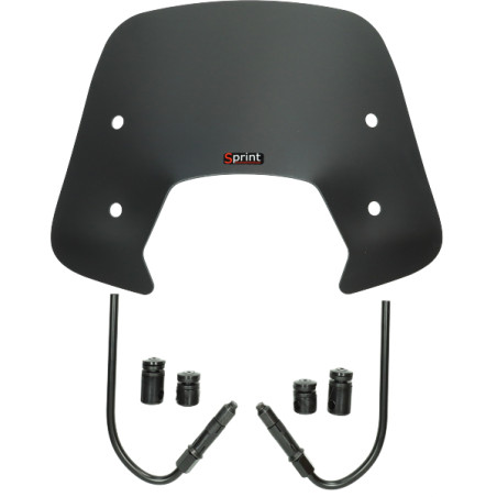 windshield Regia with mounting set low (made in EU) black matt sprint