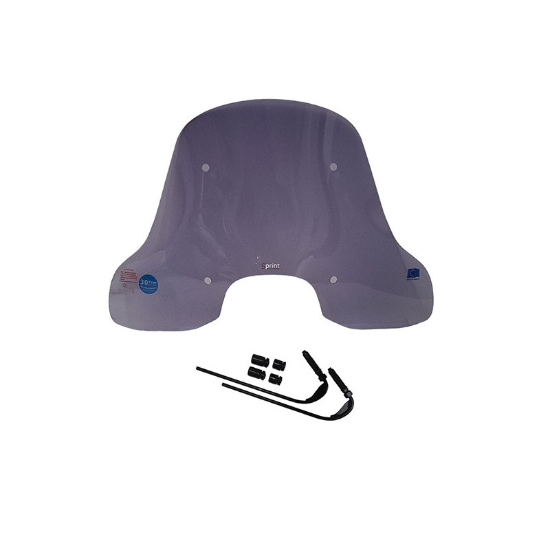 windshield Regia (made in EU) medium-high light smoke sprint