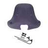 windshield Regia (made in EU) medium-high smoke piaggio, zip