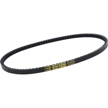 V-belt Malossi 969mm ciao px 6119261