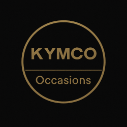 Kymco People S uit 2012 50cc 45km