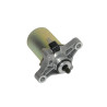 starter motor DMP agility, filly, people-s, sento, super-8, vp50, vitality