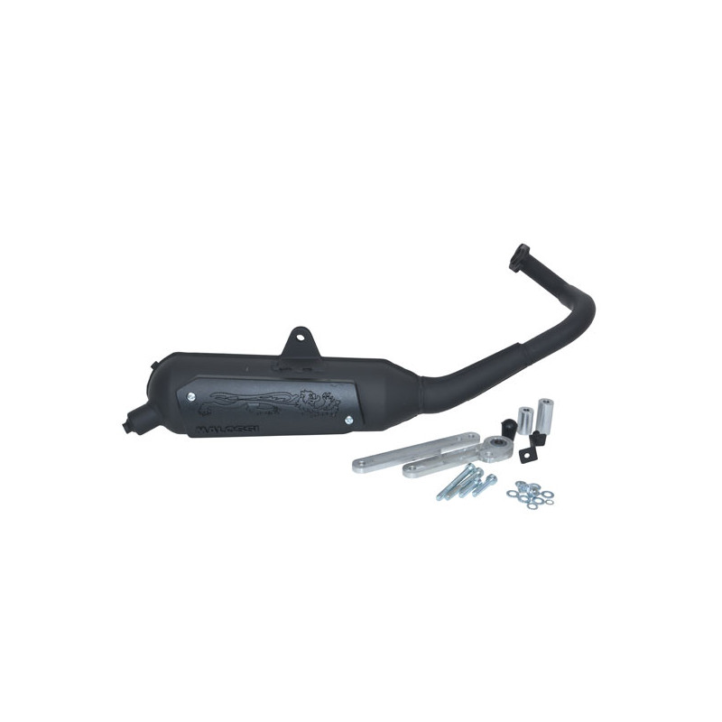 exhaust Malossi standard model 2st wild lion people-s, top boy, grand dink, super-9 3216593