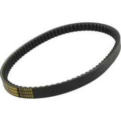 V-belt Malossi 795.5x20 agility 125, agility 150, new like, people-s, super-8 6116665