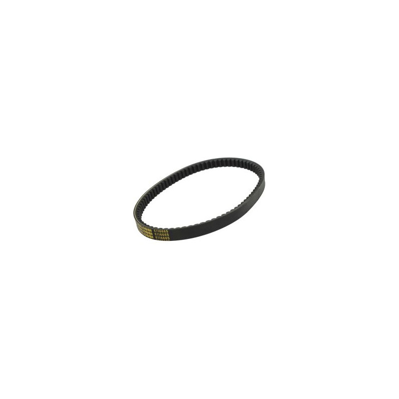 V-belt Malossi 795.5x20 agility 125, agility 150, new like, people-s, super-8 6116665