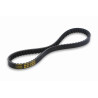 V-belt Malossi 835x22 pcx 125 ie, sh 125/150 6114895
