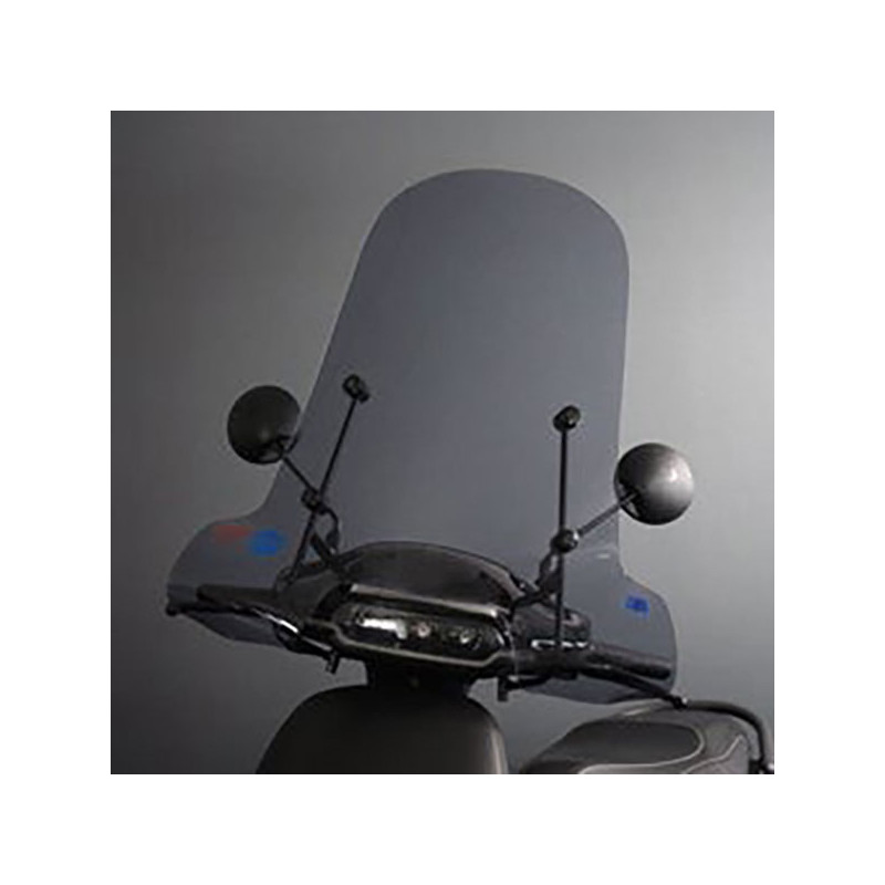 windshield Regia with mounting set (made in EU) high smoke horwin EK-1