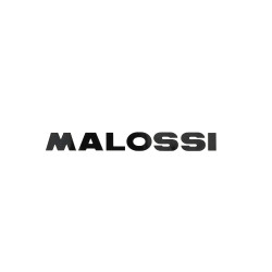 sticker malossi woord [malossi] 14cm zwart 339776