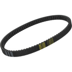 V-belt Malossi (23.2X11.6X864.3 MM) honda 6119482