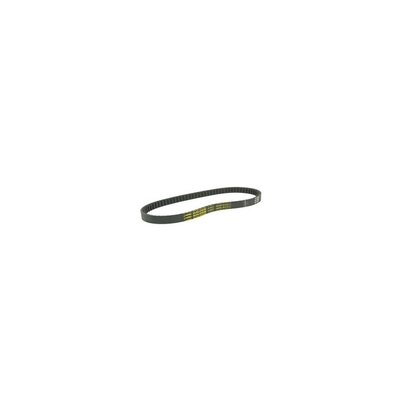 V-belt Malossi sh50 x8r 619221