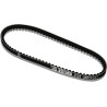 V-belt Malossi 1163x15.5 fox, wallaroo 6118940