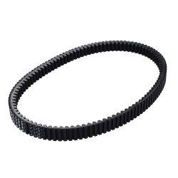 V-belt Malossi 1007x25.7 bmw 2019 , c 400 gt, c 400 x 6119157