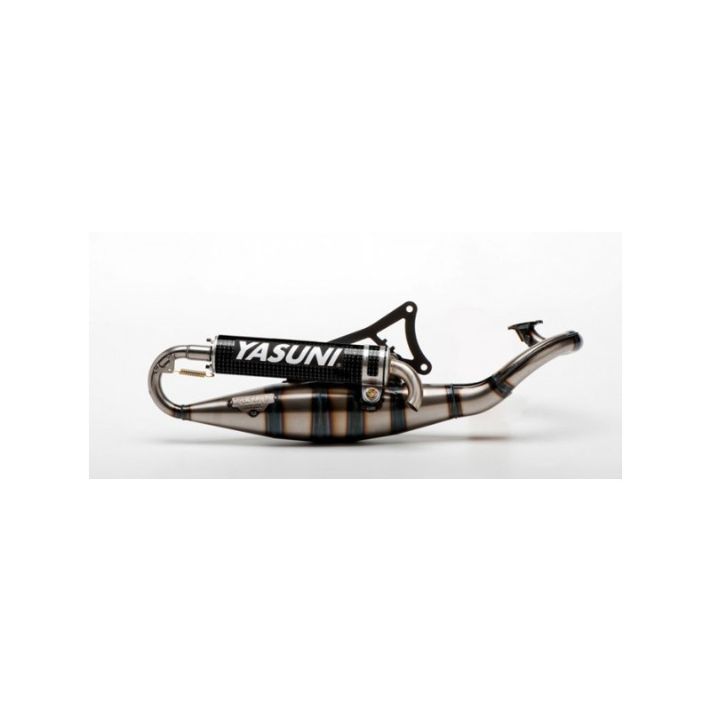 exhaust Yasuni yasuni-R carbon minarelli hor tub902c