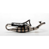 exhaust Yasuni yasuni-R carbon minarelli hor tub902c