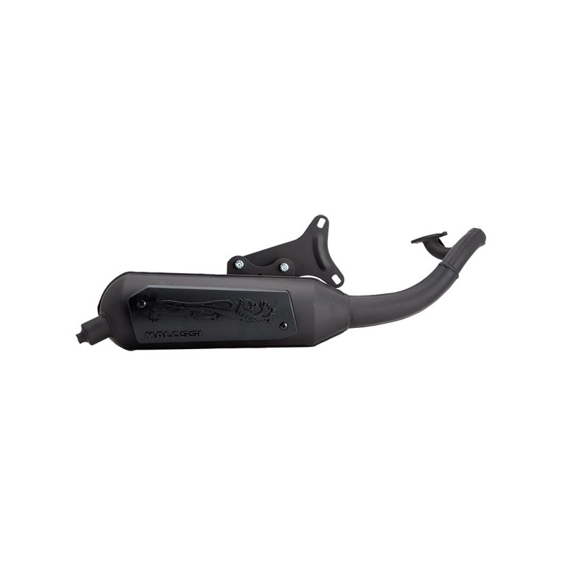 uitlaat malossi standaard model Wild Lion minarelli hor 3216583