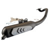exhaust Polini standard model minarelli hor 200.0312
