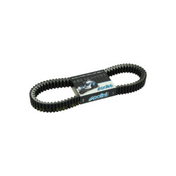 V-belt Polini kevlar 908x31.2 ak550, t-max530, t-max560 248.086