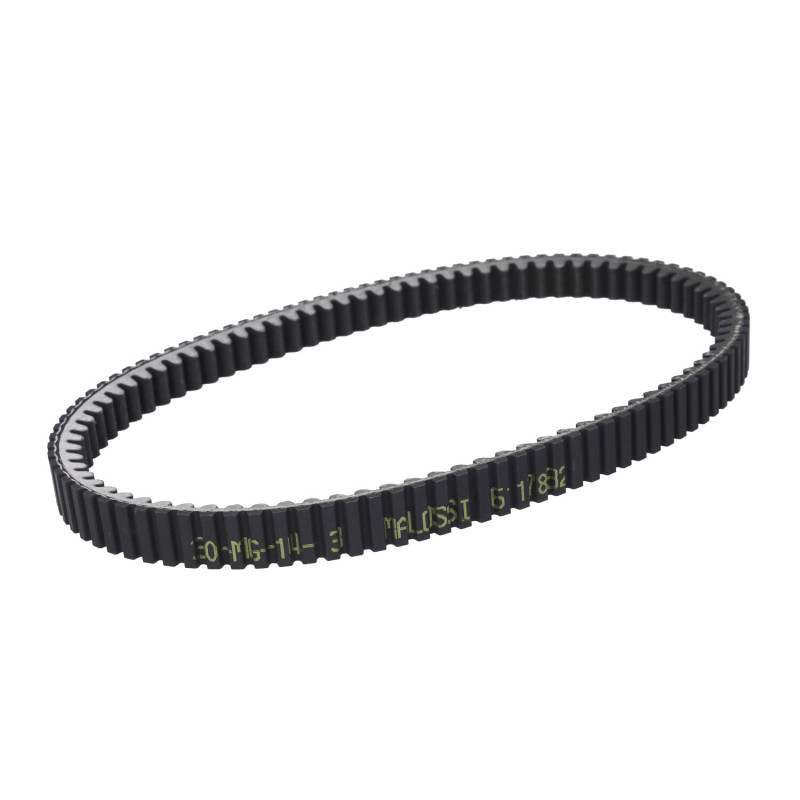 V-belt Malossi 974x24.9 tricity 300, x-max 300 6117832