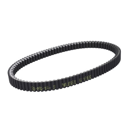 V-belt Malossi 974x24.9 tricity 300, x-max 300 6117832