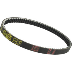 V-belt Malossi 125/150cc italjet, madison 150, majesty 125/150/180 6116101