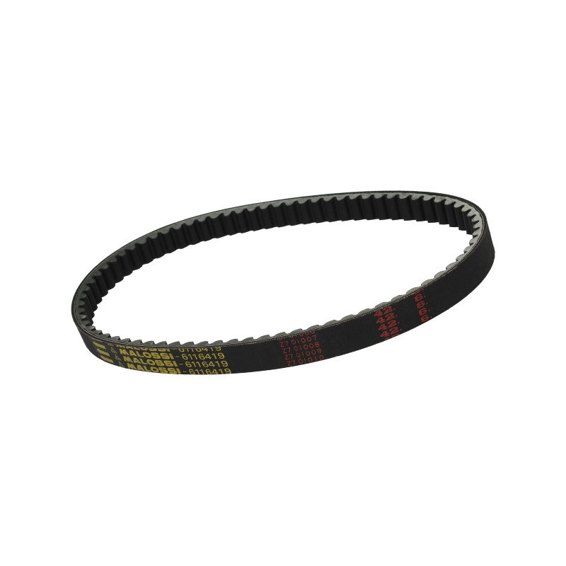 V-belt Malossi (22X9.3X796 MM) yamaha 6116419
