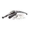 exhaust Yasuni R2 carbon beta rr50, dt50r, minarelli am6, ryz, senda, smx, xsm tub810tc