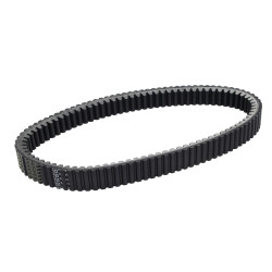 V-belt Dayco/pirelli ak550, t-max560, t-max530 xtx1017 908x32.5x15mm