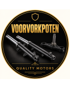 Voorvorkpoten