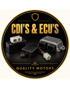 CDI's & ECU's