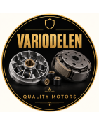 Variodelen